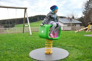 63161-federwippe-ring