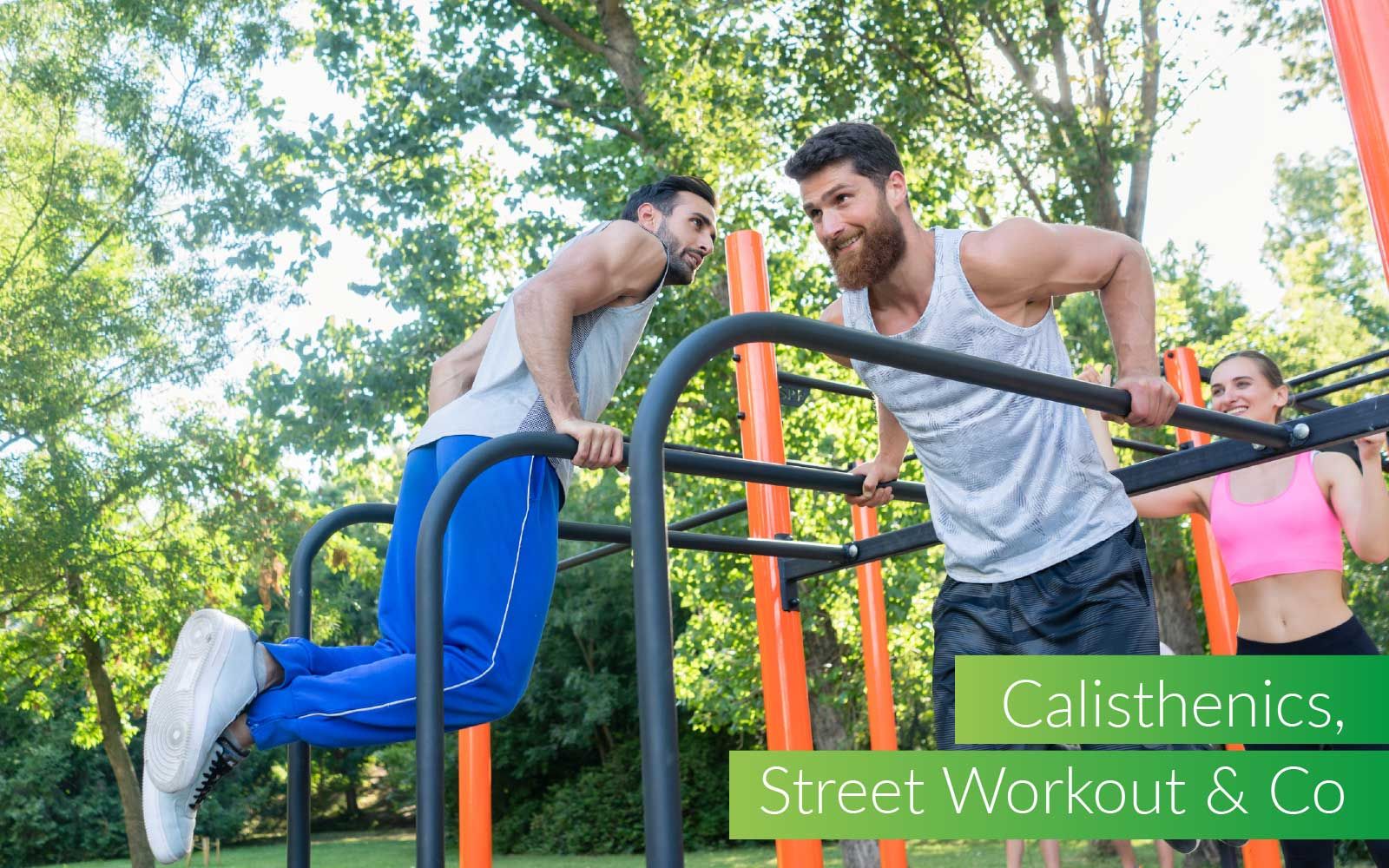 Calistehnics, Street Workout