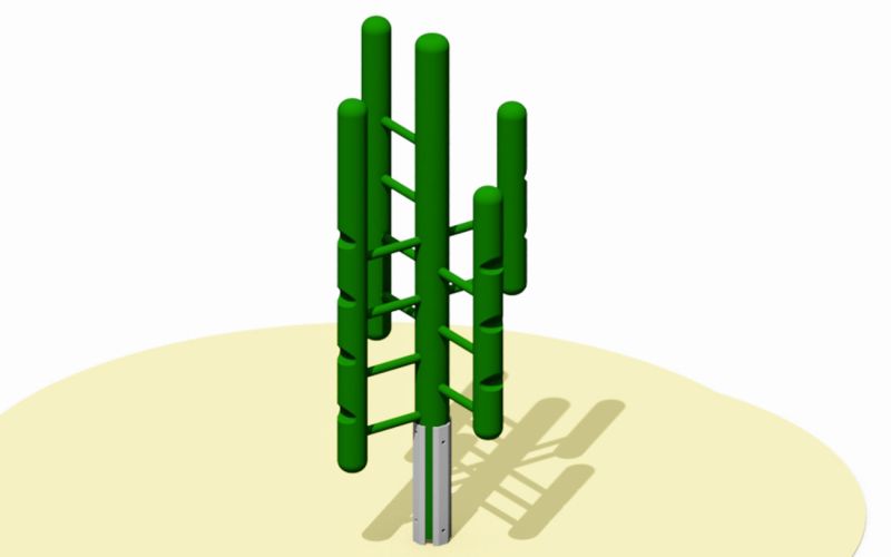 35541-climbing-cactus