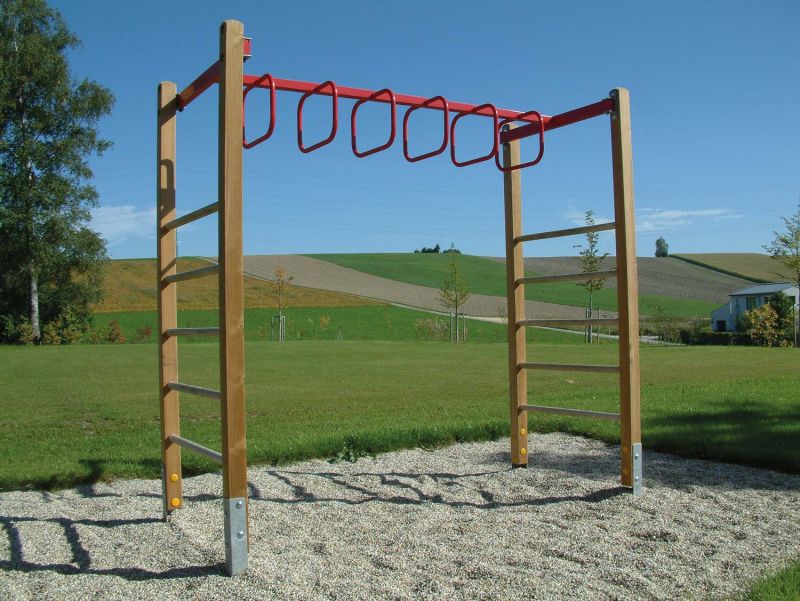 67021-ring-hanging-rail-with-ladders